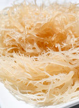 Load image into Gallery viewer, Soaked Sea Moss