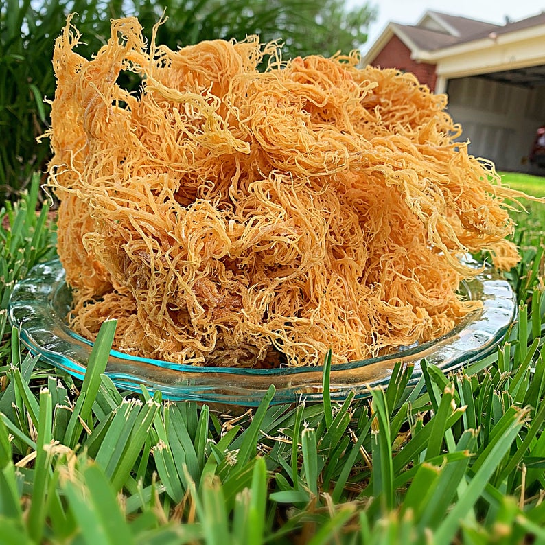 Dried Sea Moss